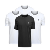 Kit 4 Camisas Dryfit Anti Odor [PAGUE 02 LEVE 04]