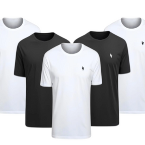 Kit 5 Camisas Dryfit Anti Odor [PAGUE 3 LEVE 5]