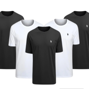 Kit 5 Camisas Dryfit Anti Odor [PAGUE 3 LEVE 5]