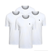 Kit 4 Camisas Dryfit Anti Odor [PAGUE 02 LEVE 04]