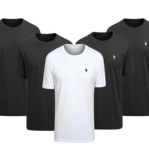 Kit 5 Camisas Dryfit Anti Odor [PAGUE 3 LEVE 5]