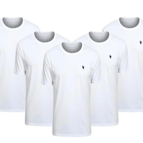 Kit 5 Camisas Dryfit Anti Odor [PAGUE 3 LEVE 5]